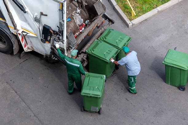 Yard Cleanup Services