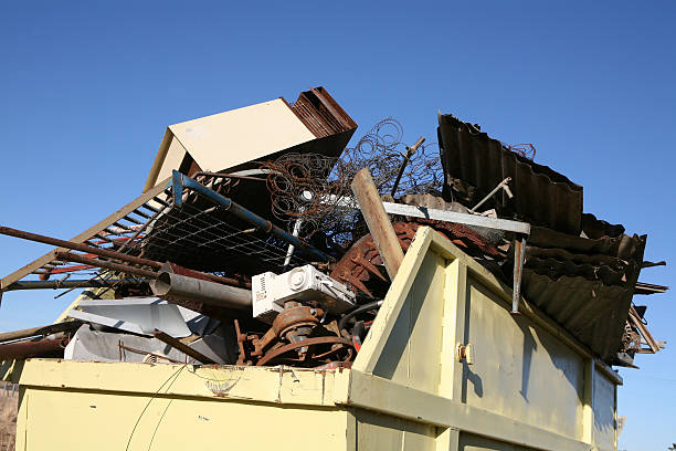 Best Residential Junk Removal  in Ionia, MI